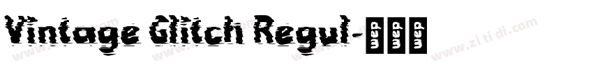 Vintage Glitch Regul字体转换